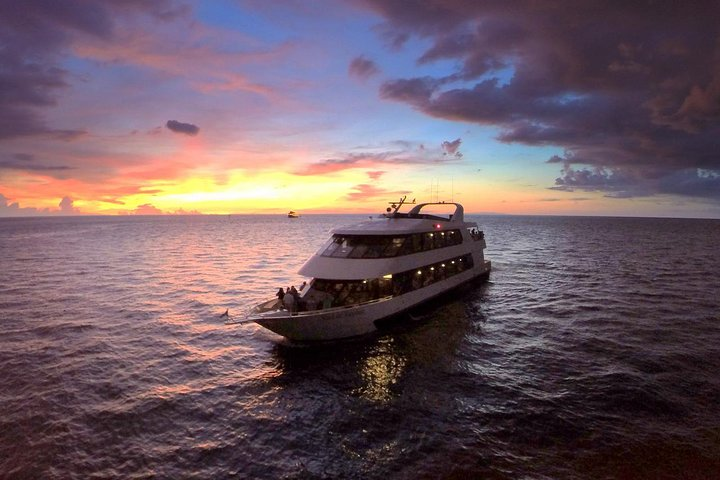 Evening Yacht Cruise with Optional Dining in St. Petersburg - Photo 1 of 6